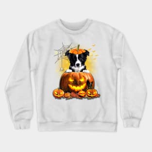 Border Collie Spooky Halloween Pumpkin Dog Head Crewneck Sweatshirt